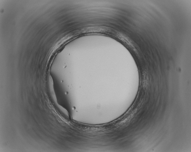 X0000062640786200601181744