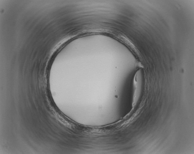 X0000062640787200601181744