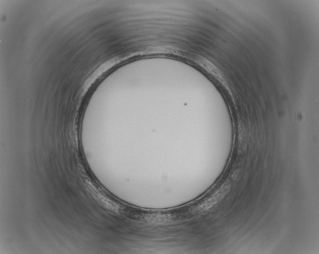 X0000062640789200601181743