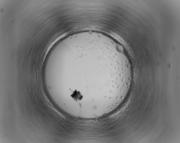 X0000062640790200601181743