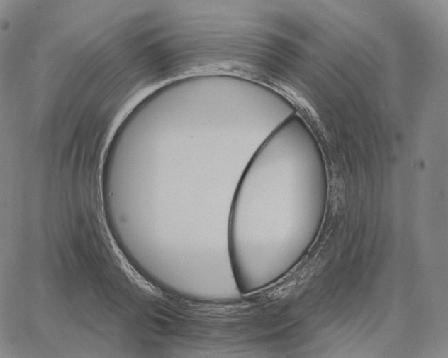 X0000062640792200601181743