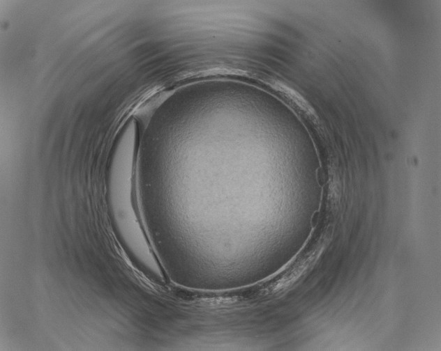 X0000062640793200601181743