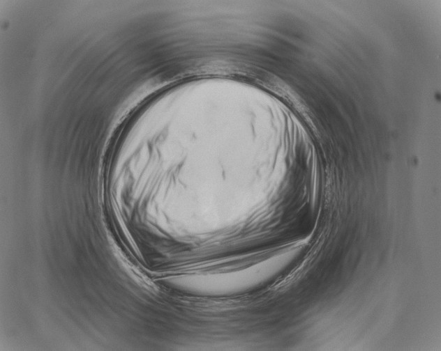 X0000062640795200601181743