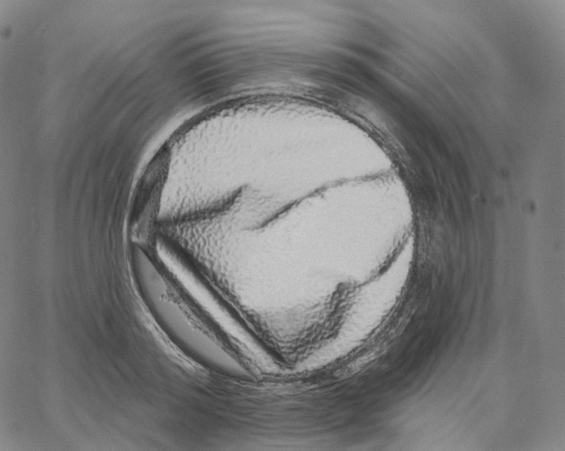 X0000062640796200601181743