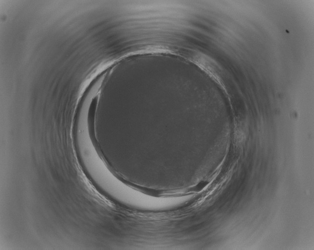 X0000062640797200601181743