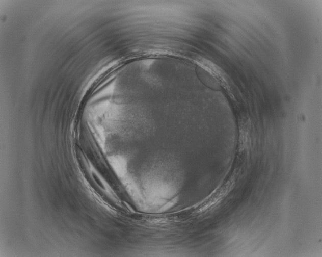 X0000062640798200601181743