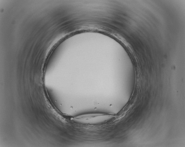 X0000062640799200601181743