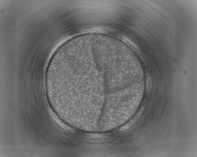 X0000062640800200601181743