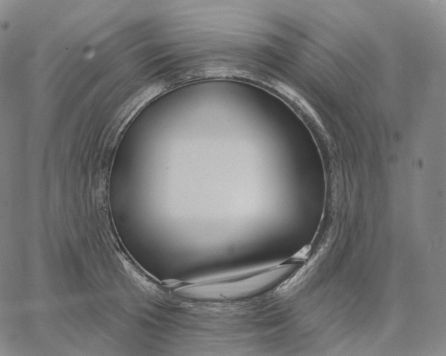 X0000062640801200601181743