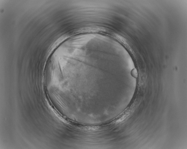 X0000062640802200601181743