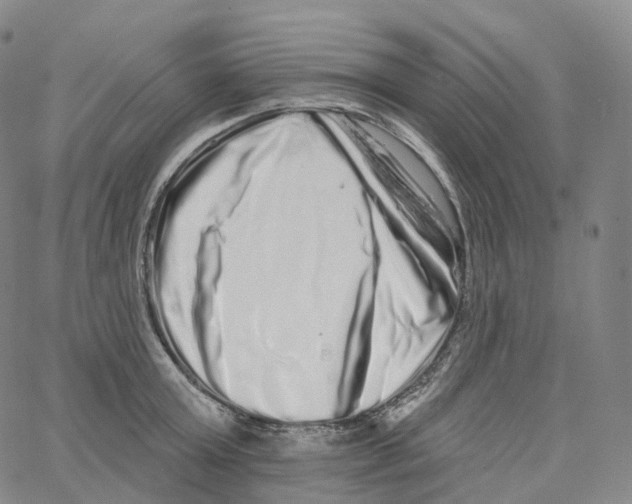 X0000062640803200601181743