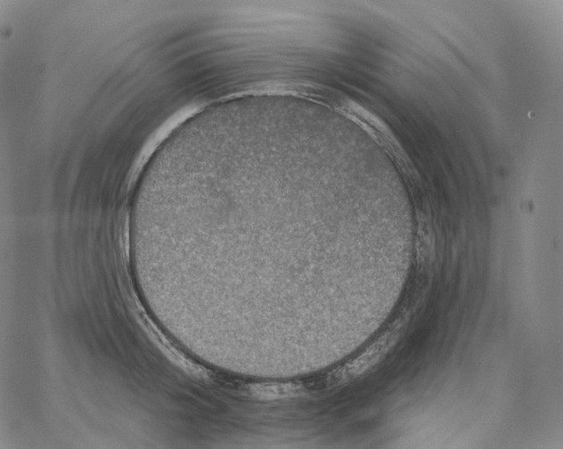 X0000062640804200601181743