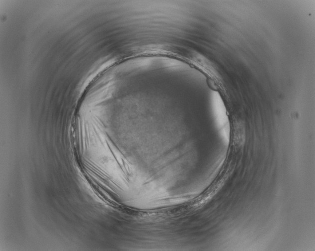 X0000062640806200601181743