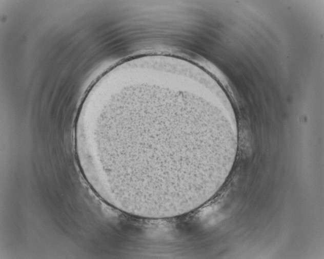 X0000062640807200601181743