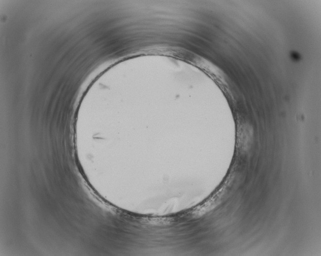 X0000062640808200601181743