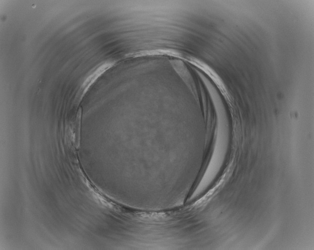 X0000062640809200601181743