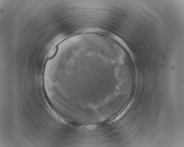 X0000062640810200601181743