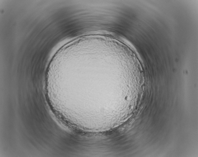 X0000062640811200601181743