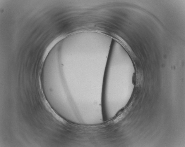 X0000062640812200601181743