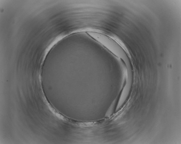 X0000062640813200601181743