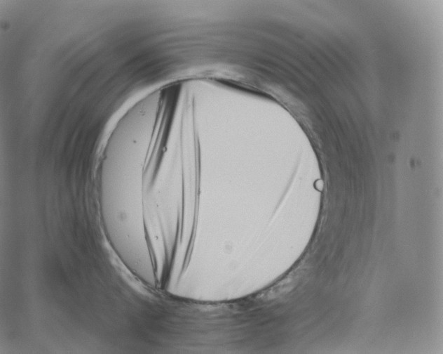 X0000062640816200601181743