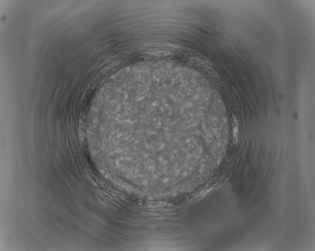 X0000062640819200601181742