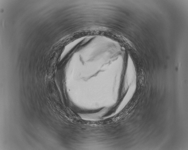 X0000062640821200601181742