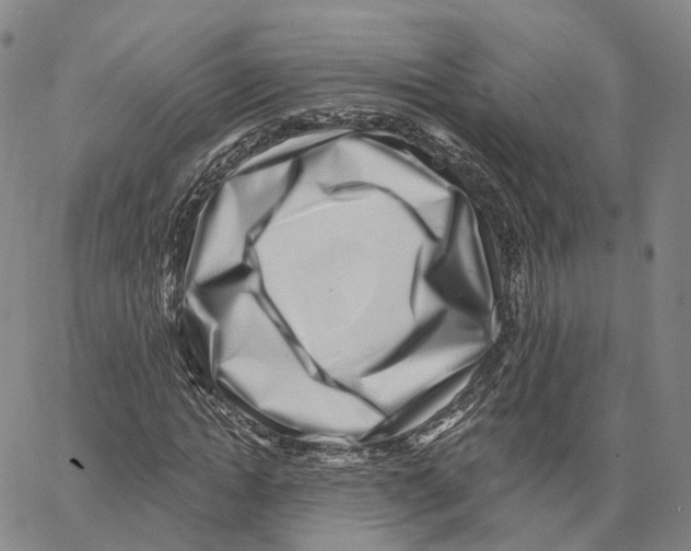 X0000062640822200601181742