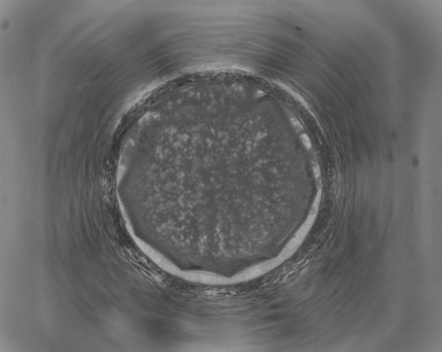 X0000062640823200601181742