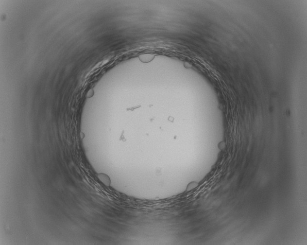 X0000062640824200601181742