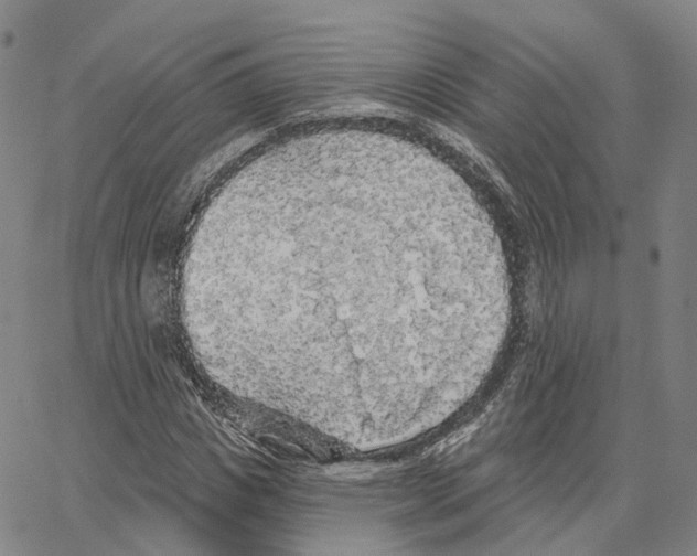 X0000062640825200601181742