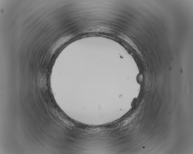 X0000062640826200601181742