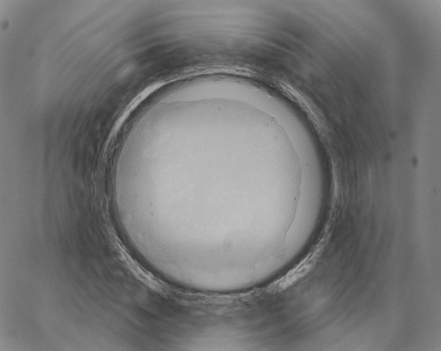 X0000062640828200601181742