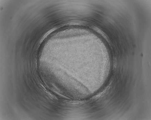 X0000062640829200601181742