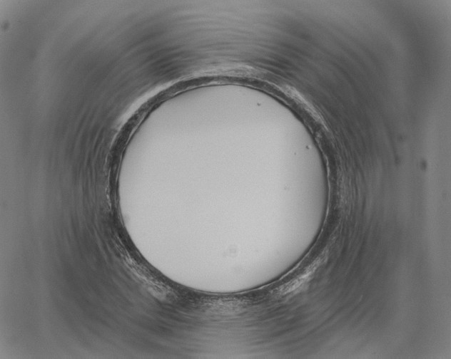 X0000062640830200601181742