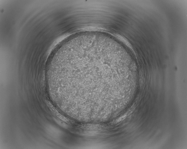 X0000062640831200601181742