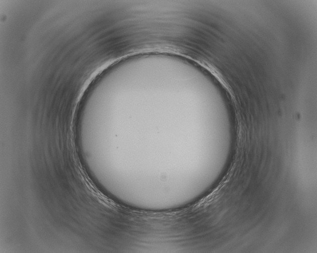 X0000062640832200601181743