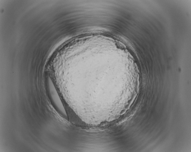 X0000062640835200601181743