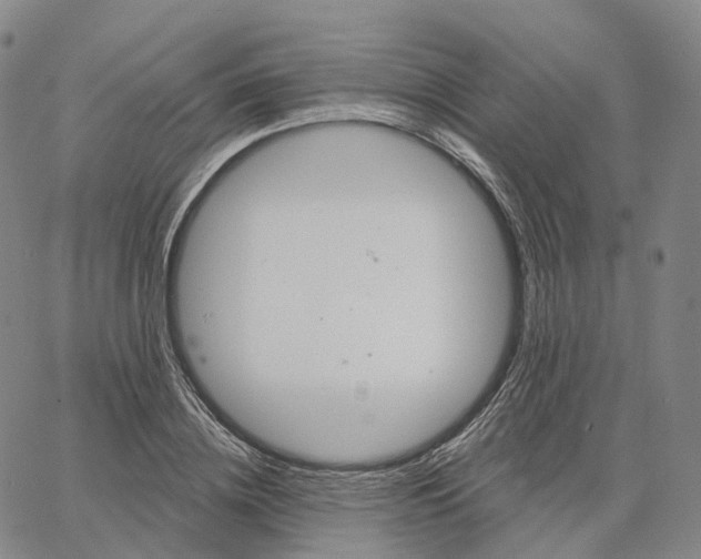 X0000062640836200601181743