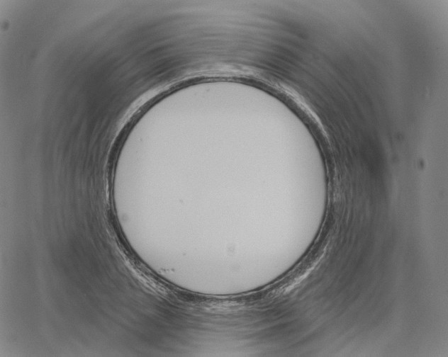 X0000062640837200601181743