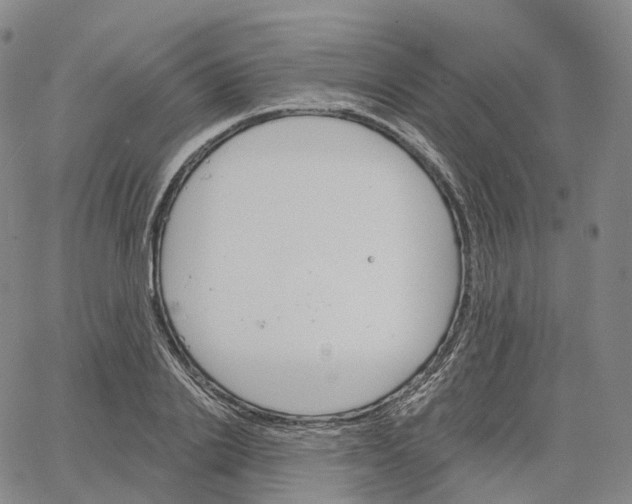 X0000062640838200601181743