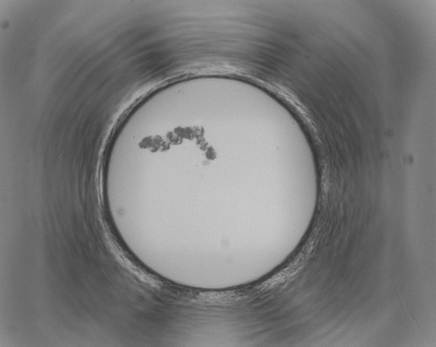 X0000062640840200601181743