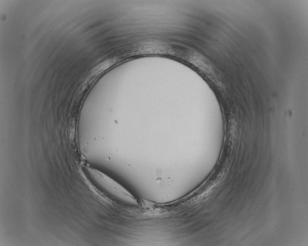 X0000062640841200601181743