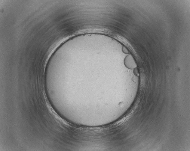 X0000062640844200601181743