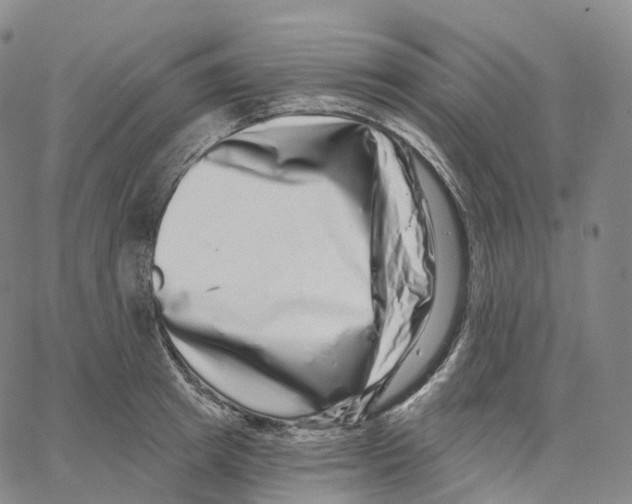 X0000062640849200601181743