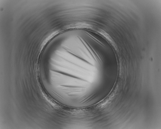 X0000062640850200601181743