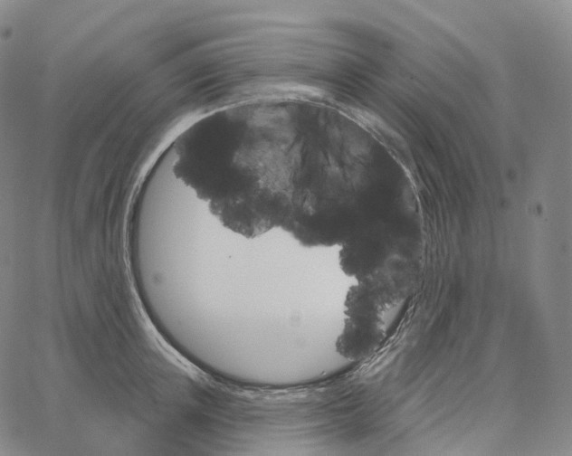 X0000062640851200601181743