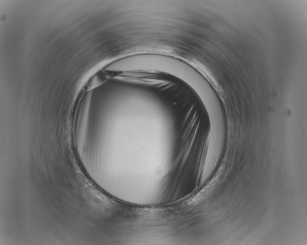 X0000062640854200601181743