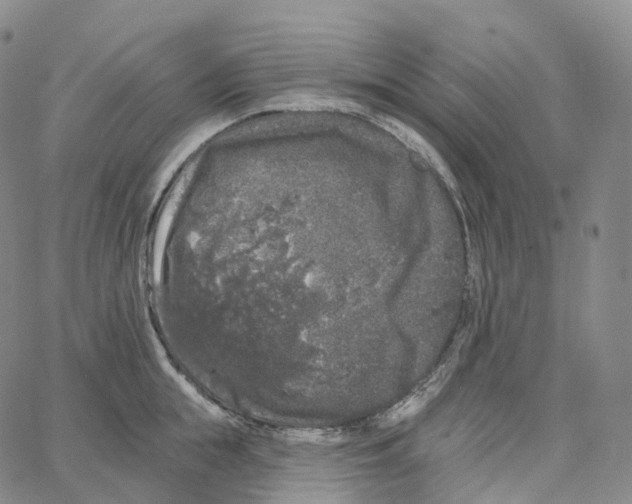 X0000062640855200601181743