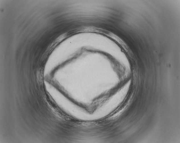 X0000062640857200601181743